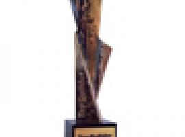 Statuetka Top builder dla Ventic Solar